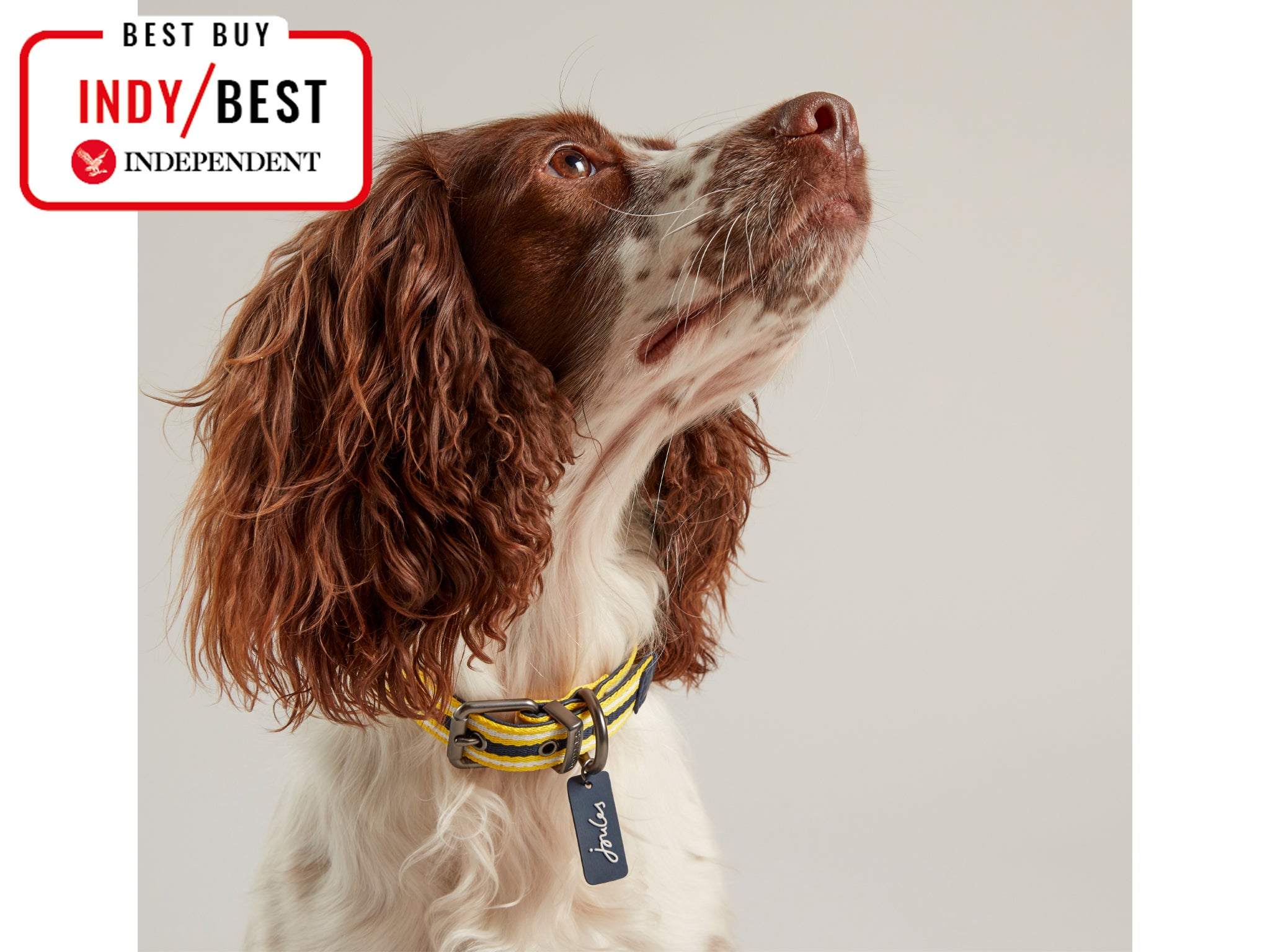 Best collar shop for puppy uk